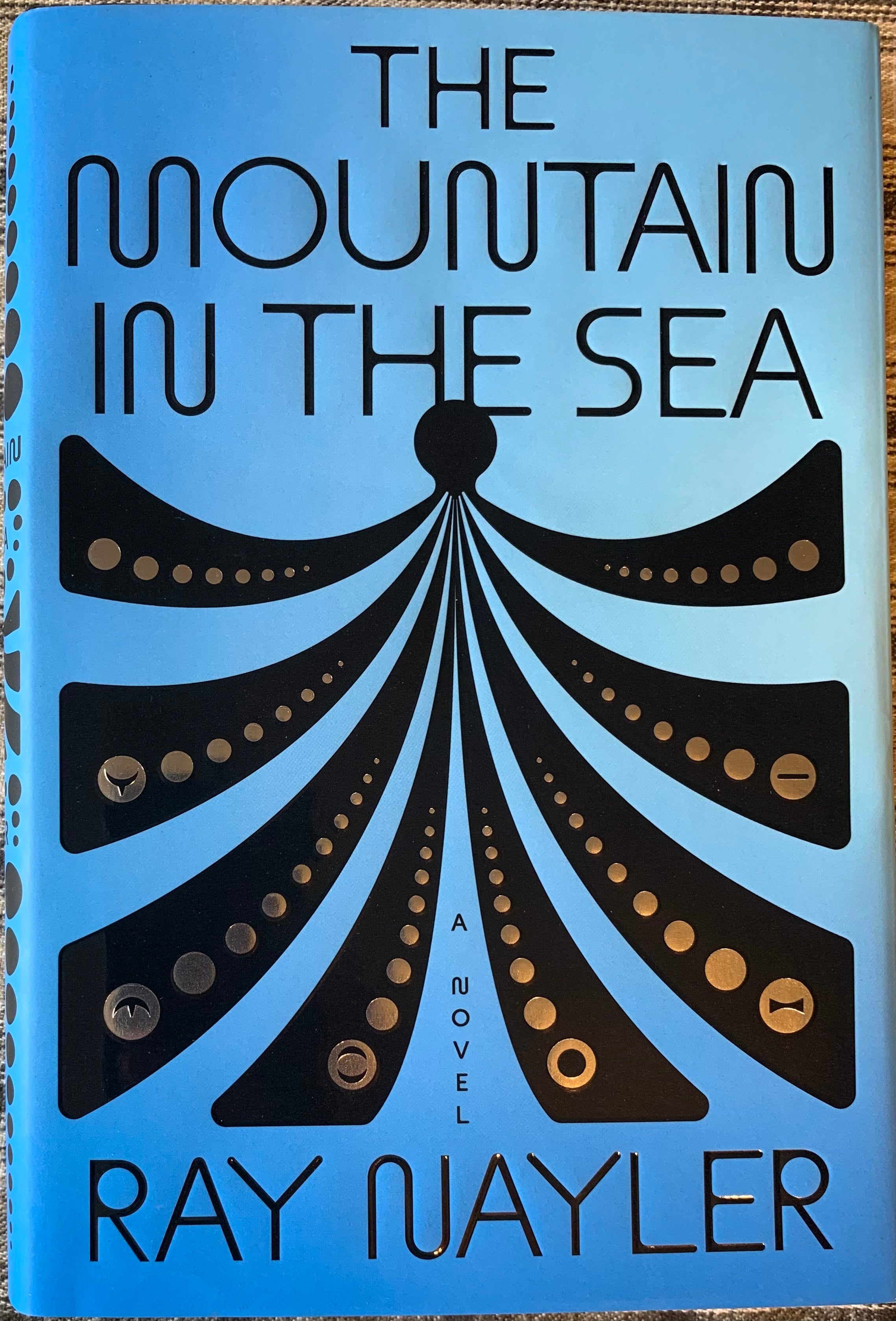THE MOUNTAIN IN THE SEA by Ray Nayler