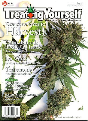 Item #56590 Treating Yourself: The Alternative Medicine Journal, Issue 19. TREATING YOURSELF