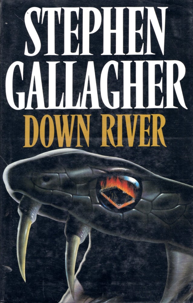 Item #5898 Down River. Stephen Gallagher.