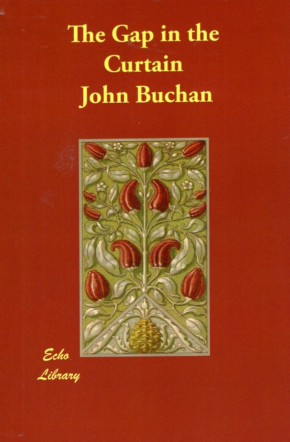 Item #66524 The Gap in the Curtain. John Buchan.