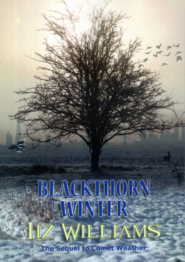 Item #66943 Blackthorn Winter (sequel to Comet Weather). Liz Williams.